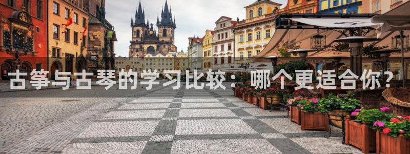 凯发k8国际注册:古筝与古琴的学习比较:哪个更适合你?