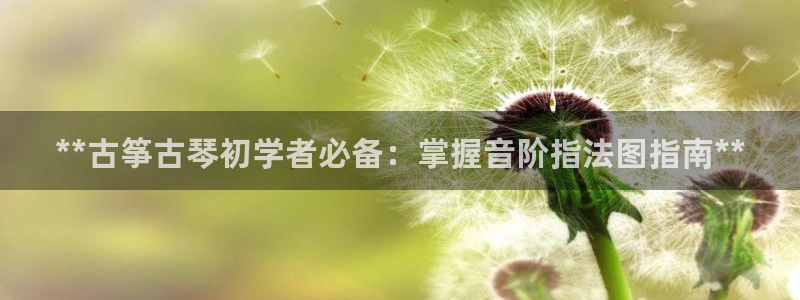 凯发k8娱乐是哪个国家的:**古筝古琴初学者必备:掌握音阶指