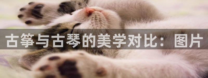 凯发k8国际真人版可靠送38元:古筝与古琴的美学对比:图片